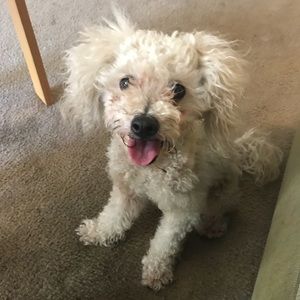 Meet your Posher, Tim